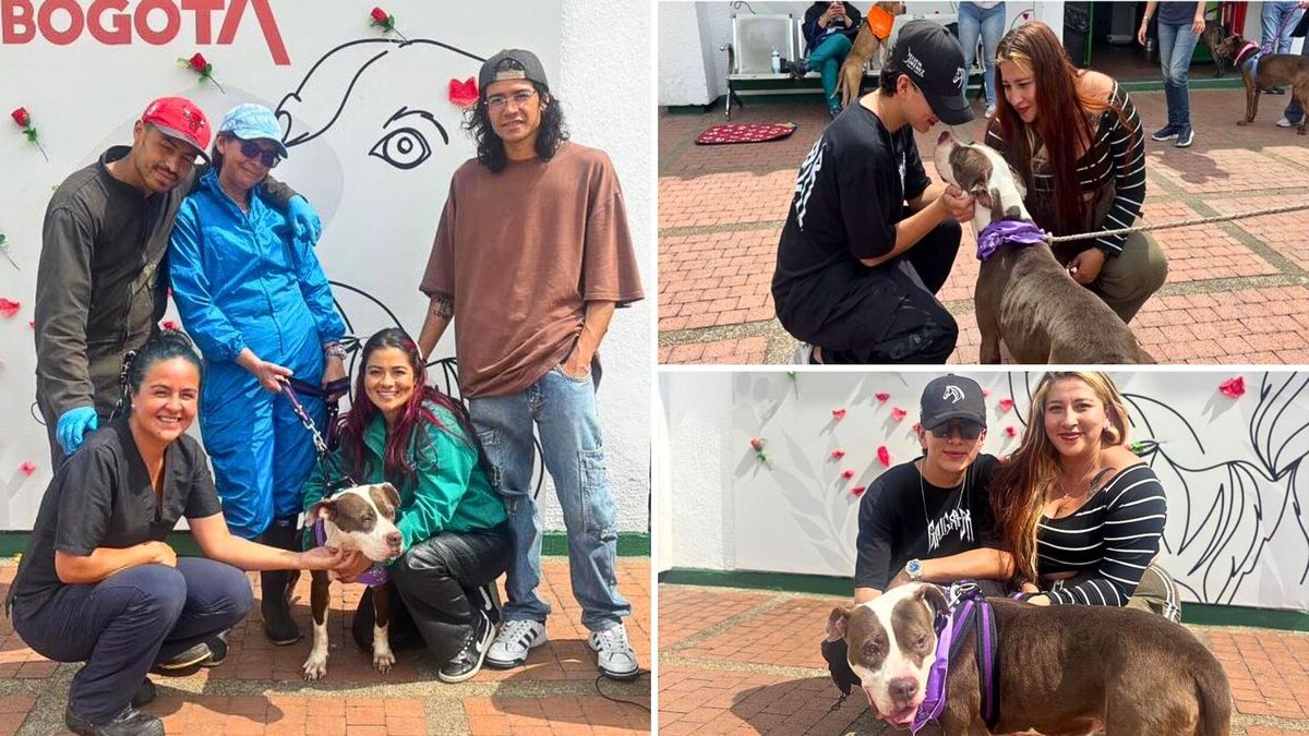 Medusa esperó 5 años y por fin fue adoptada en jornada del IDPYBA