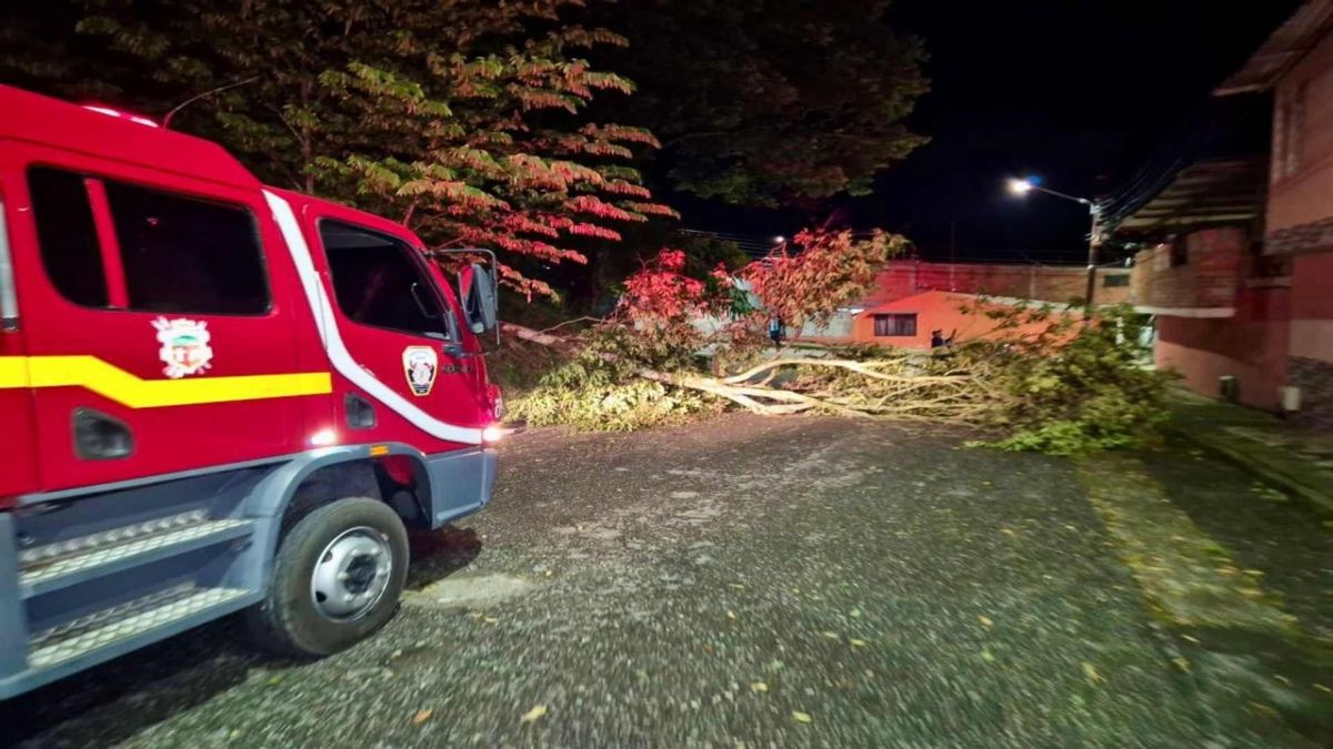 Atención de emergencias por lluvias en Ibagué