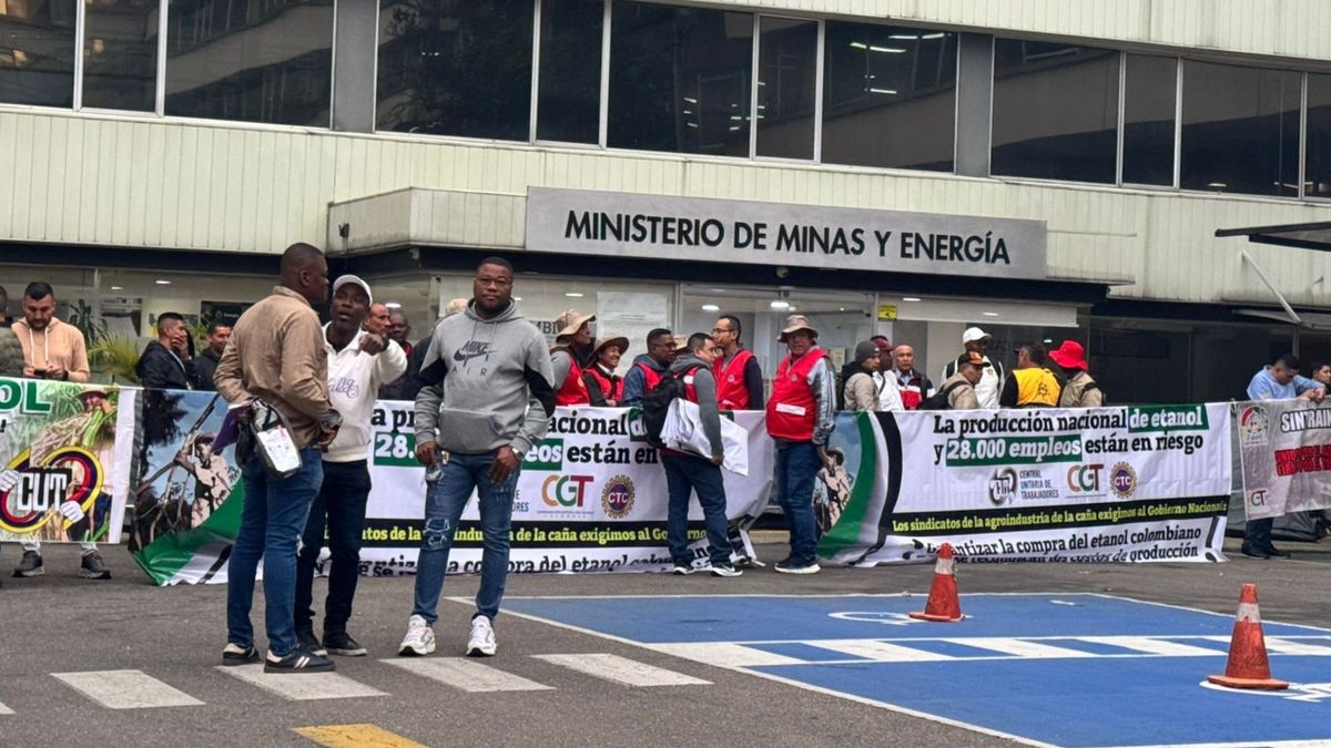 Manifestantes en la sede del Ministerio de Minas y Energía