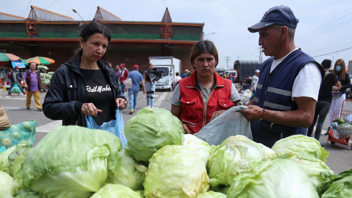 Personas comprando lechugas en Corabastos