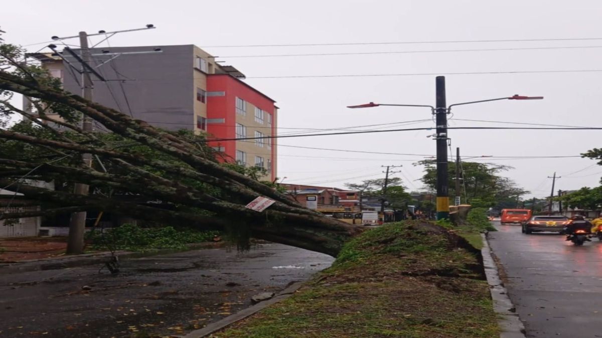 Afectaciones por lluvias en Ibagué