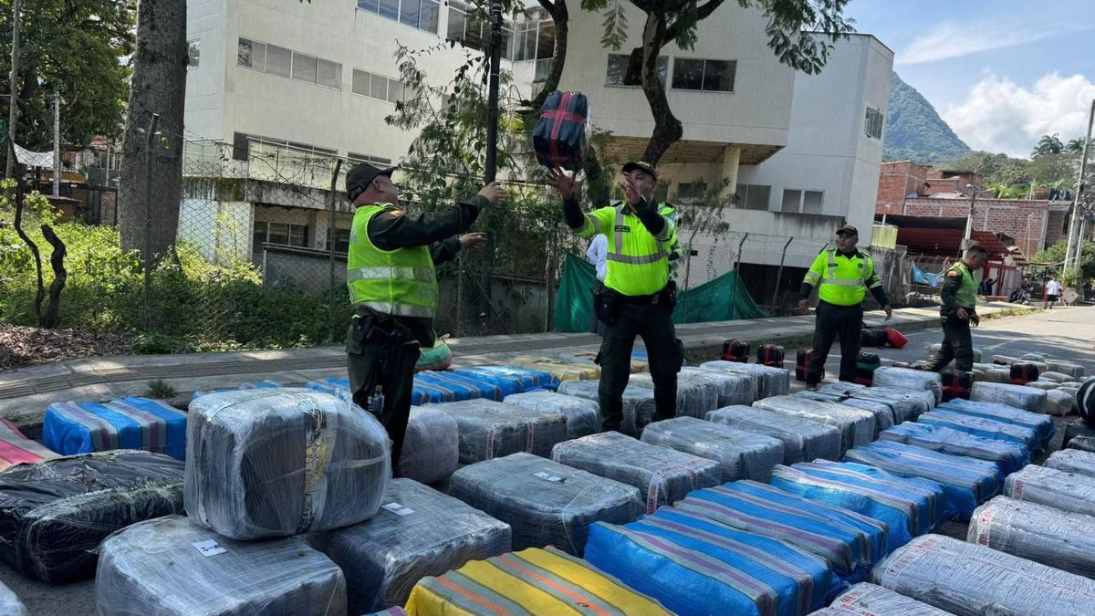 Cargamento de marihuana incautado