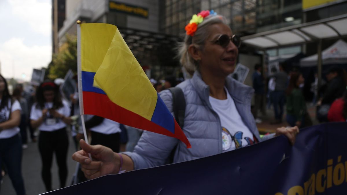 Mujer en marcha de apoyo al gobierno