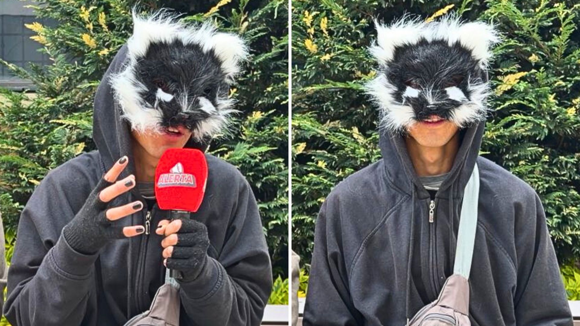 Therians se toman redes: joven en Bogotá dice que es un gato