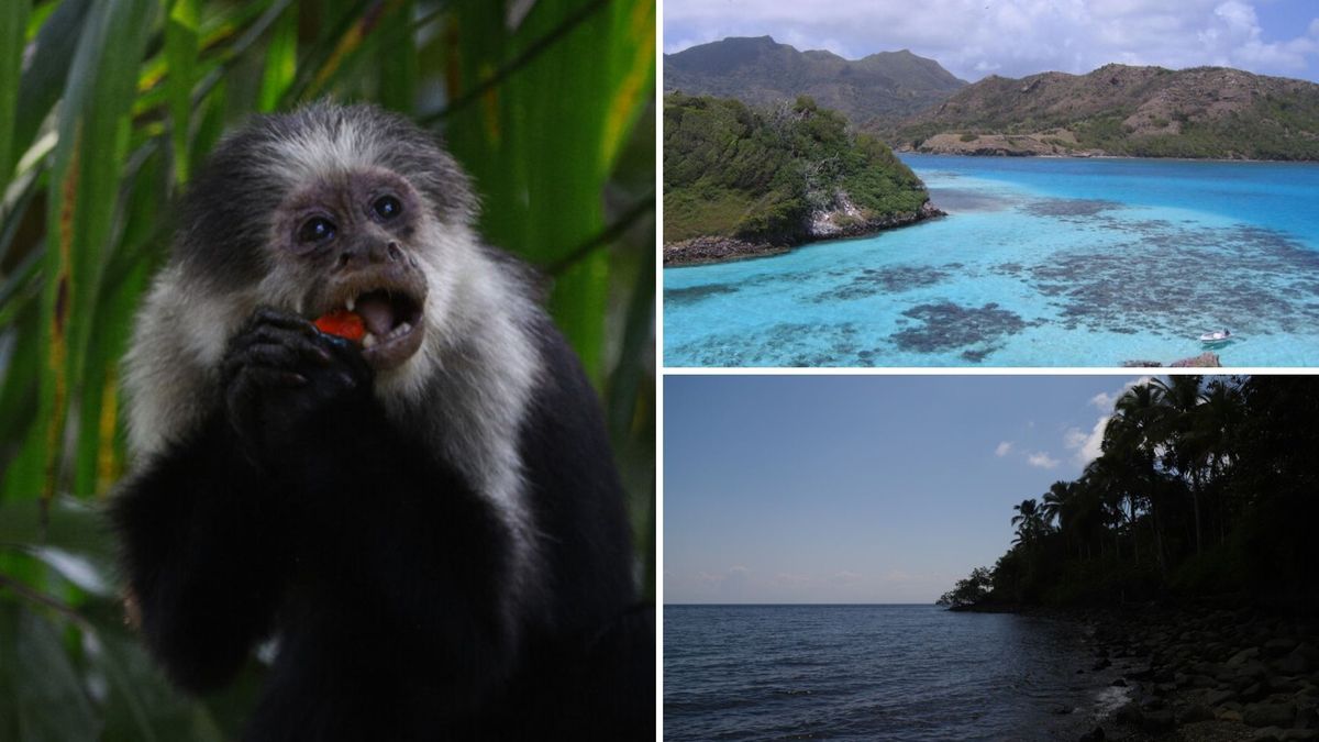 Parques Naturales suben tarifas en 2026: así le pega al bolsillo