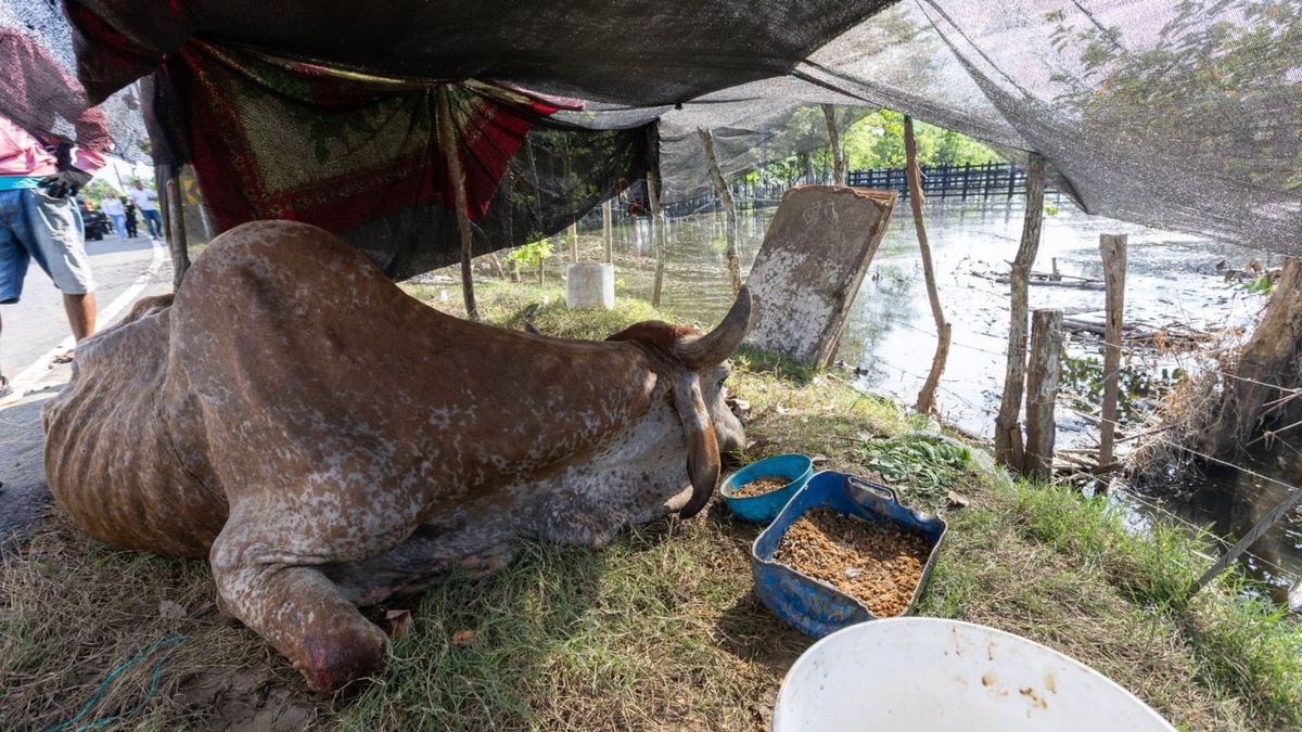 Damnificados en Córdoba