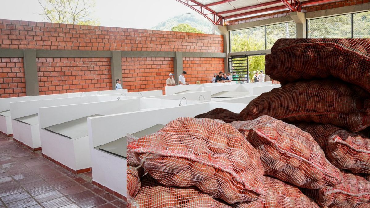 Nueva plaza de mercado en Cundinamarca impulsa ventas campesinas