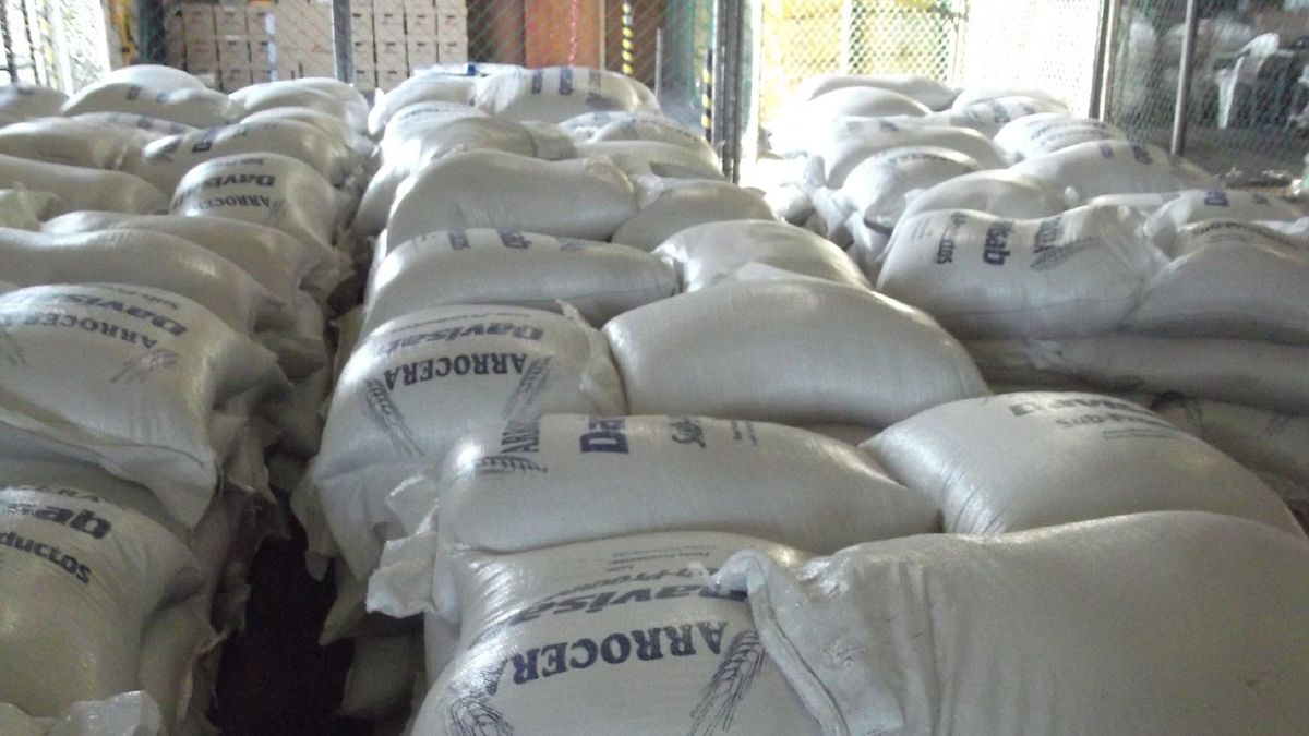 Arroceros de Ibagué trabajan a pérdidas