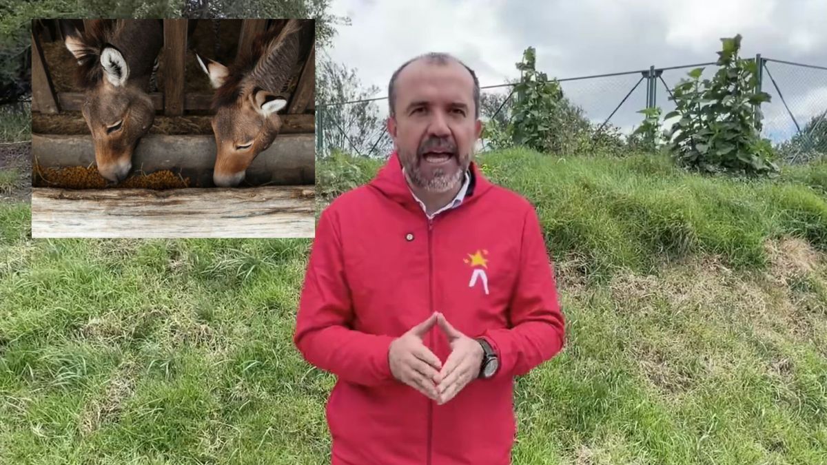 IDRD definió el futuro de histórica granja asignó tarea a Protección Animal