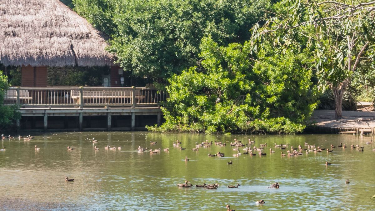 Aviario Nacional de Colombia