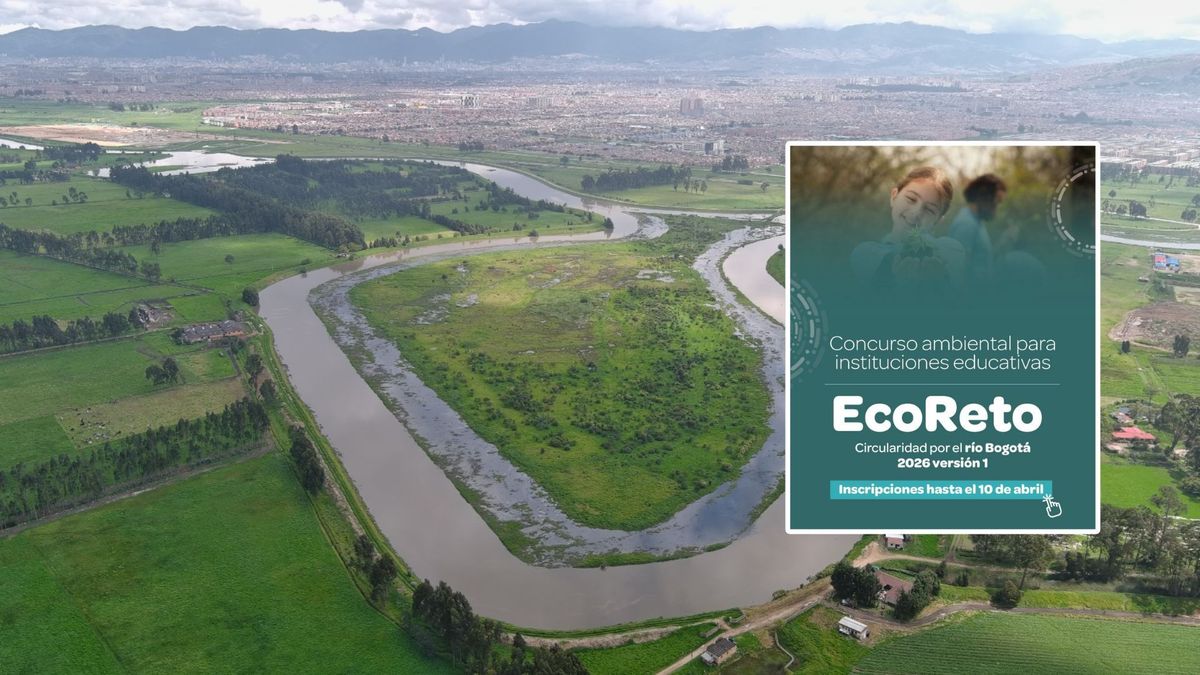 Premian colegios que cuidan el río Bogotá: paso a paso para inscribirse