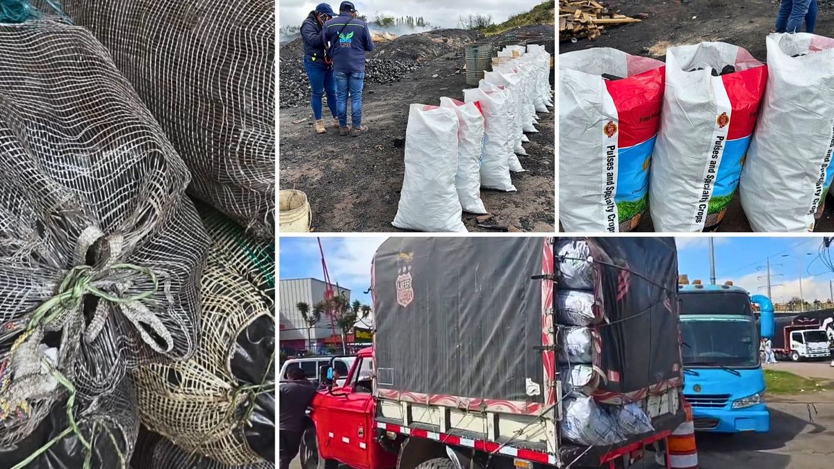 Policía incauta 80 bultos de carbón vegetal sin permisos