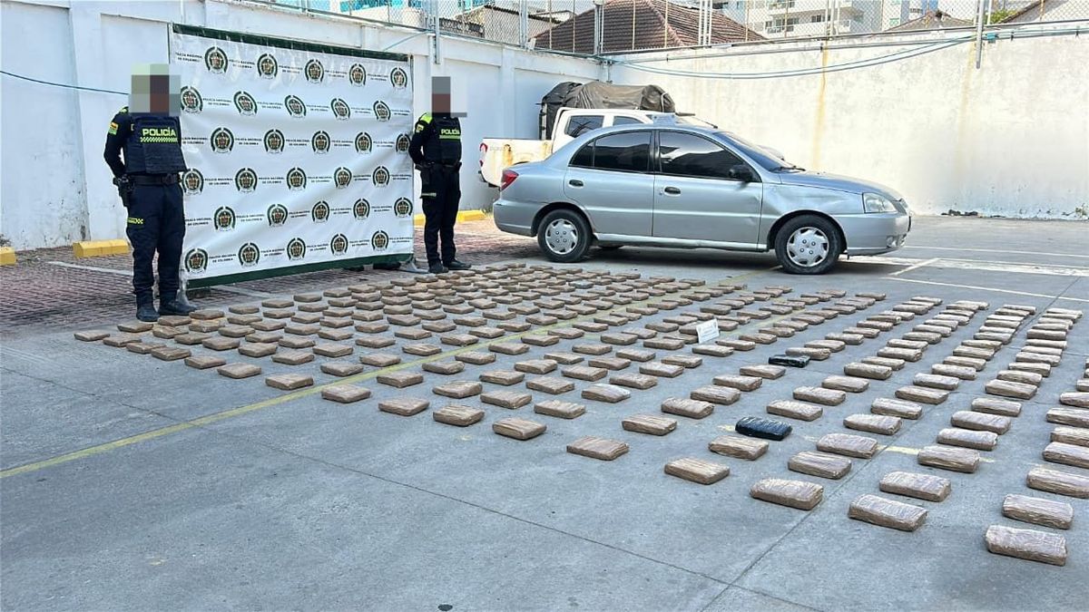 Incautan cargamento abandonado de marihuana en Cartagena.