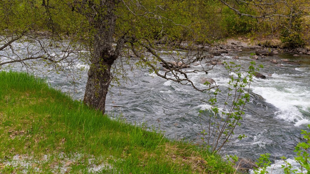 Hombre muere por creciente súbita en Falan, Tolima