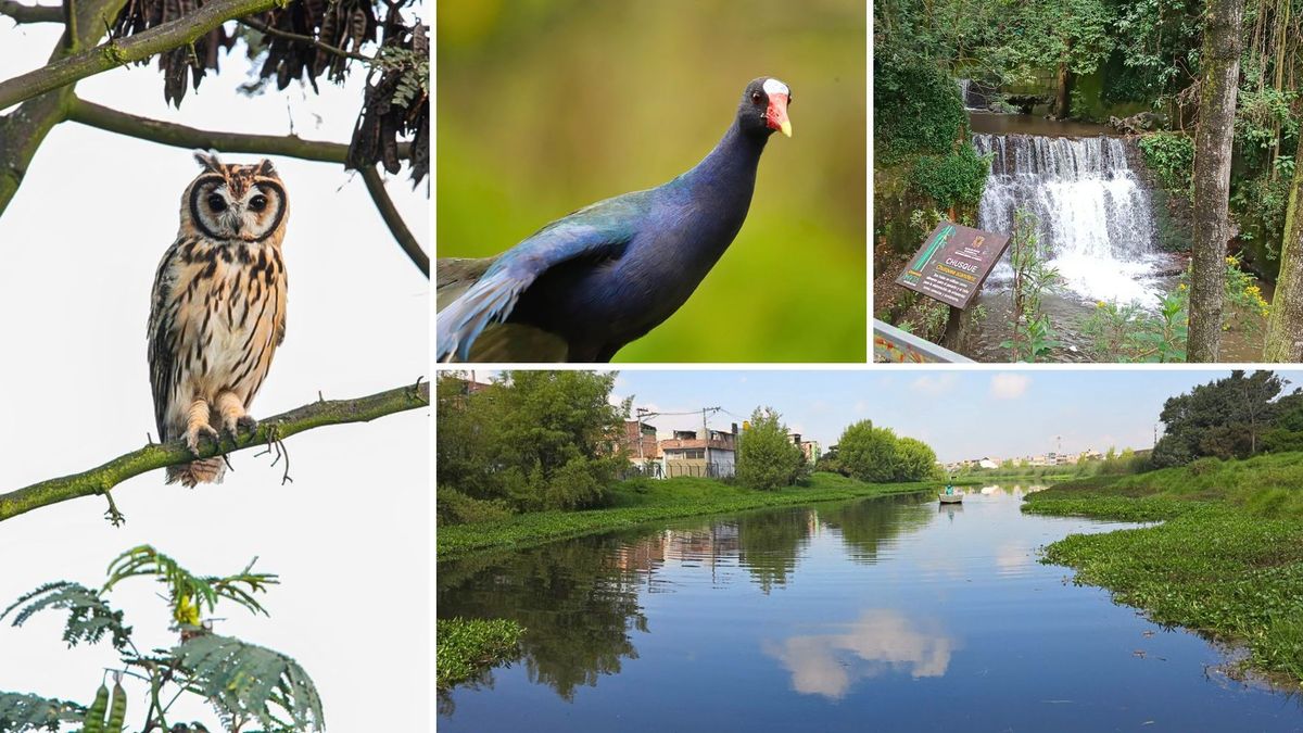 ¿Sin plata para pasear? Hay caminatas gratis en los Cerros de Bogotá