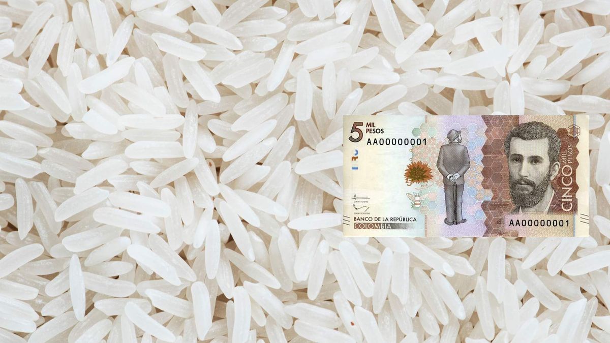 Paro arrocero generaría presión en la canasta familiar