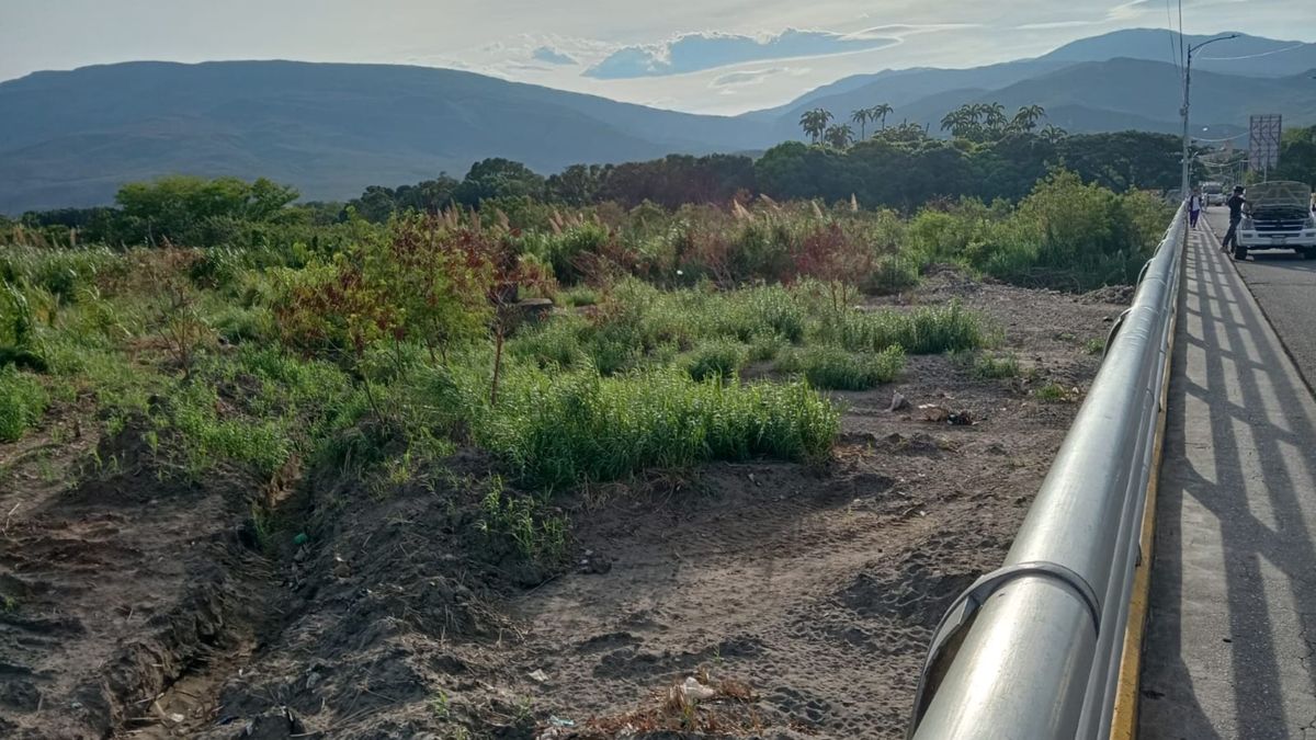 Zona boscosa en la frontera colombo - venezolana