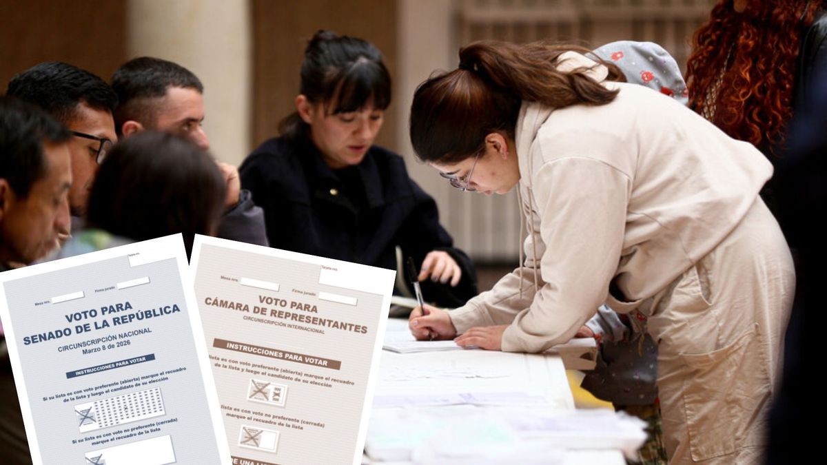 ¿Cómo votar en las elecciones 2026?