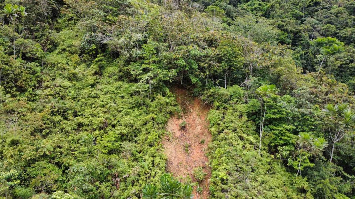 Derrumbe en la autopista Medellín-Bogotá