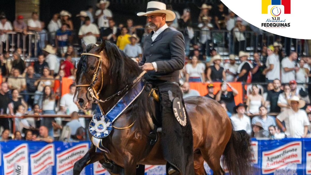 Exposición Nacional Equina