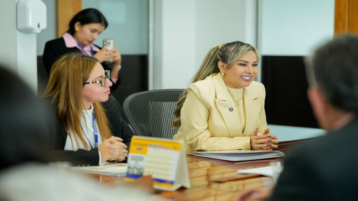 Gestión aeropuerto Perales