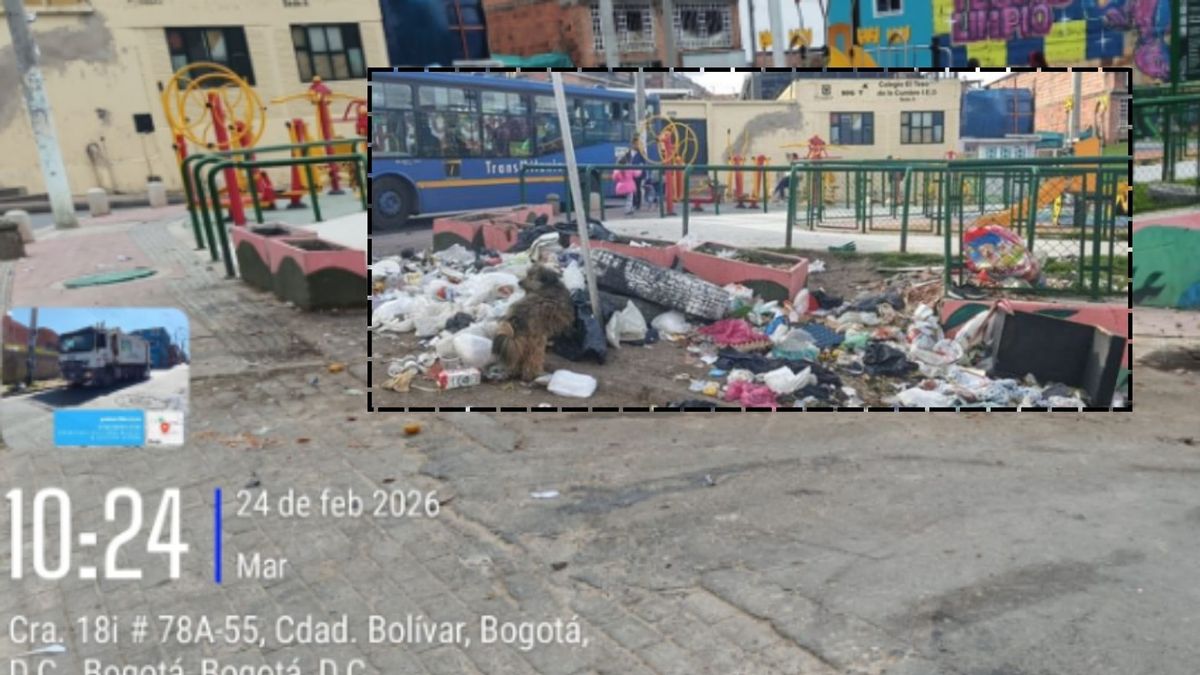 ¡Ni al caño ni a la calle! Bogotá lanza reto para botar muebles viejos gratis