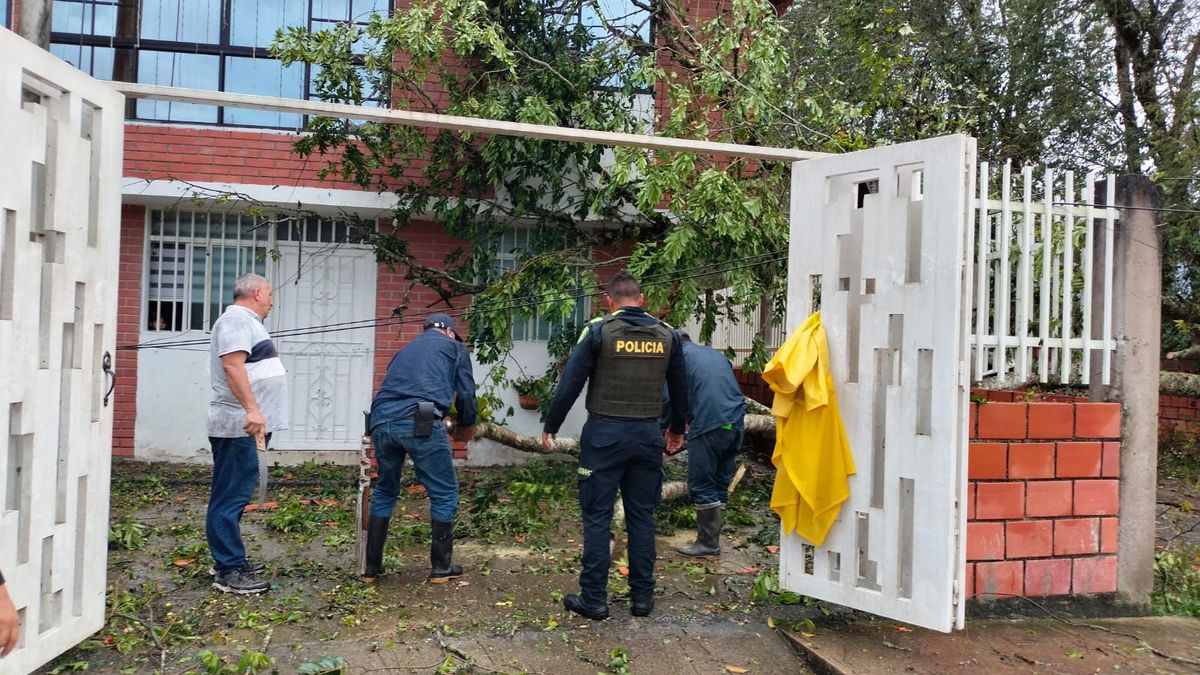 El colegio Isaías Ardila de Mogotes sufrió afectaciones con la caída de un árbol