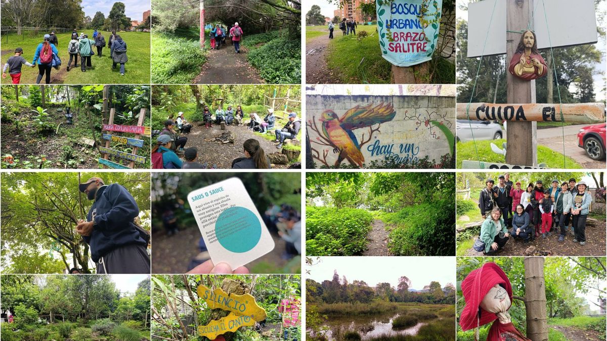 Comunidad frenó vía que iba a arrasar bosque en Barrios Unidos