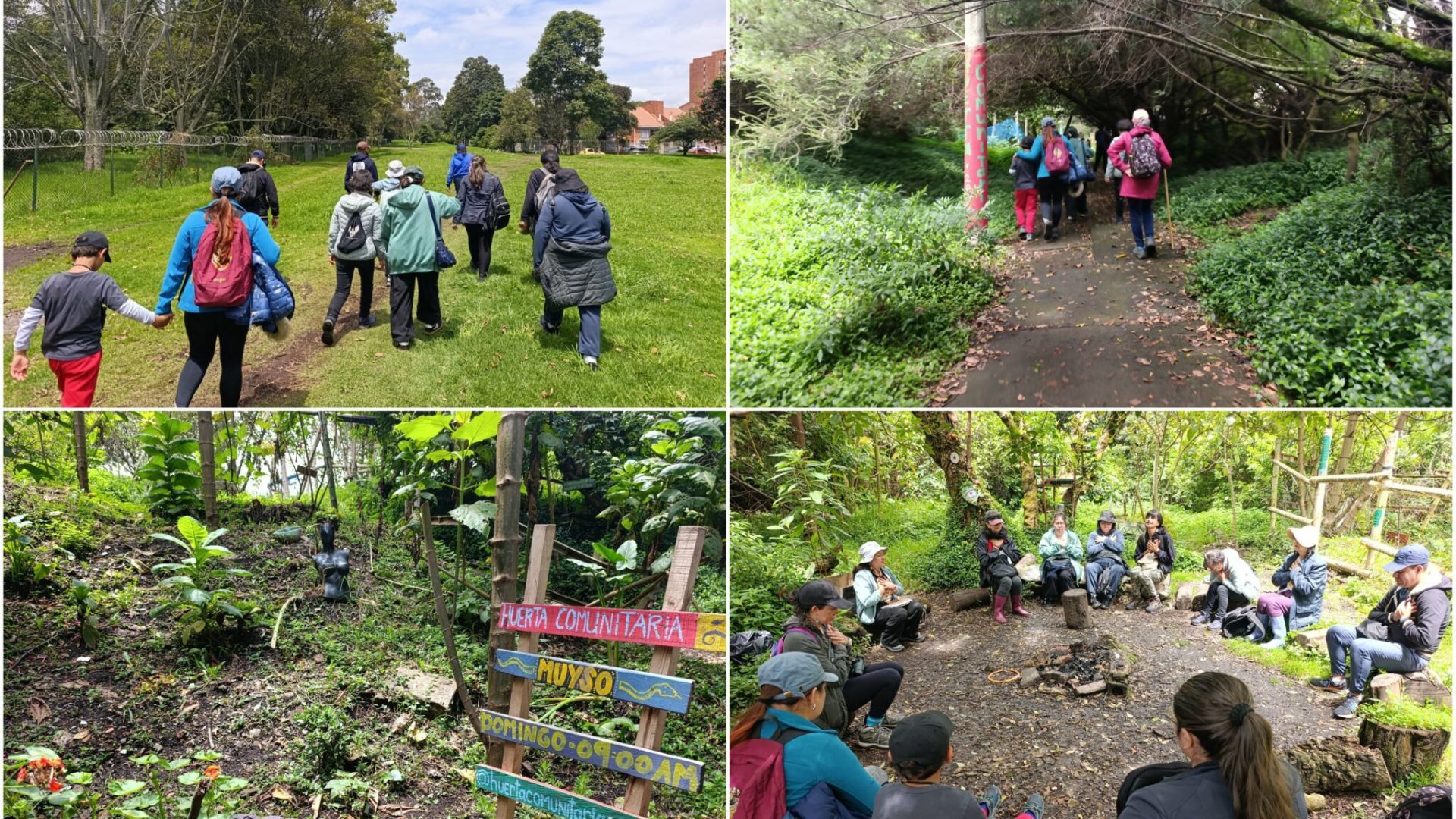 Barrios Unidos dijo no y salvó bosque de nueva carretera
