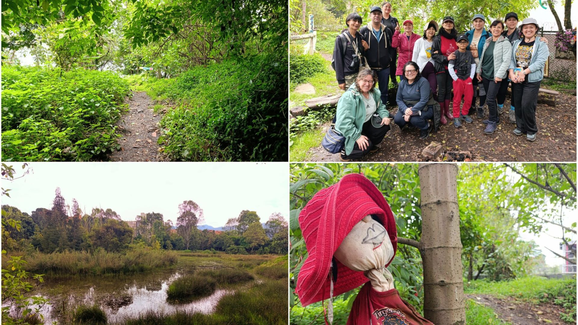 Comunidad frenó vía que iba a arrasar bosque en Barrios Unidos