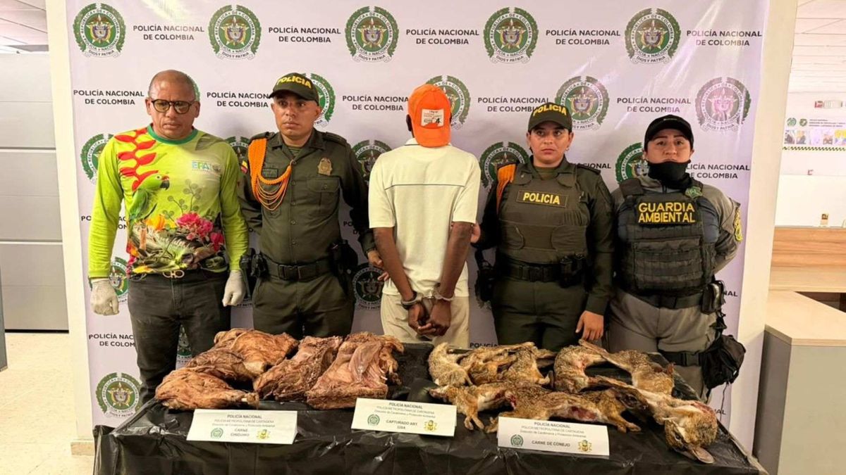 Uno de los capturados por comercio ilegal de fauna silvestre