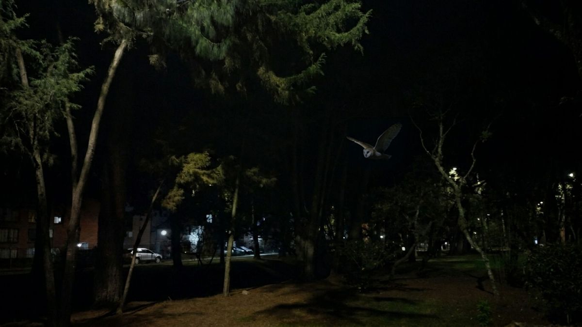 La bruja de Engativá que tiene a vecinos asustados