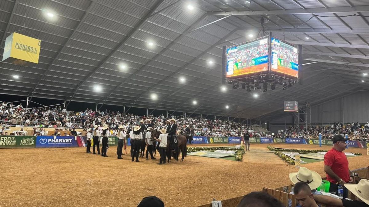 Exposición Nacional Equina 2026