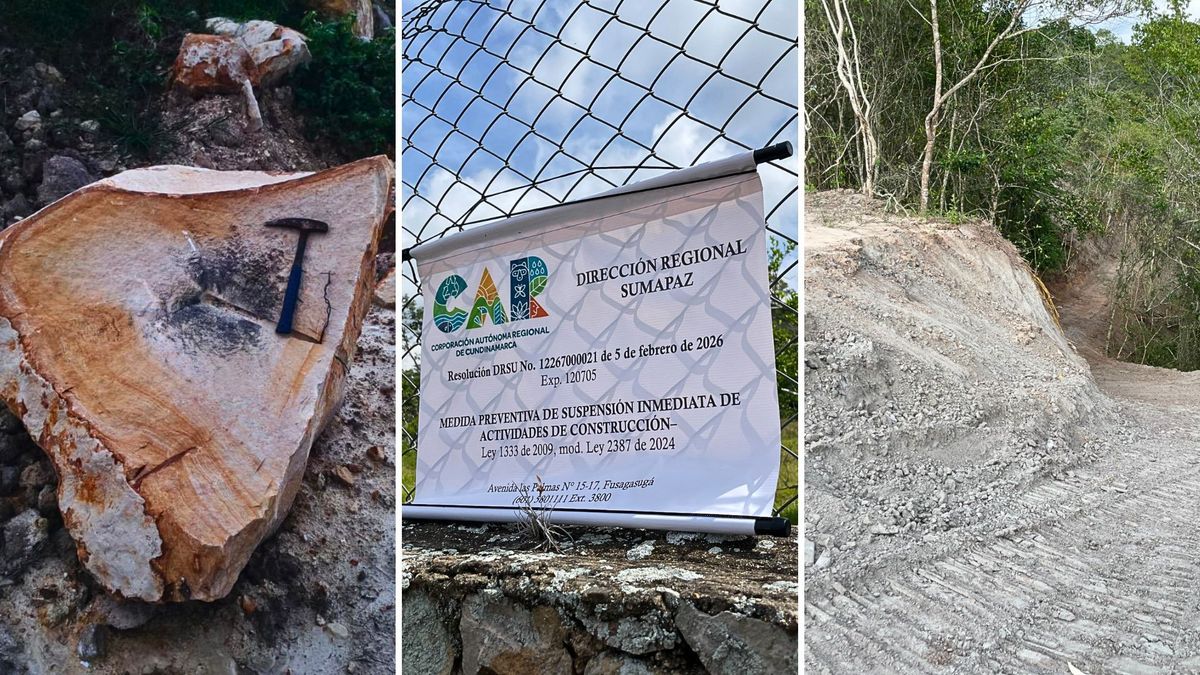 CAR frena proyecto campestre en Sumapaz por desviar fuentes de agua