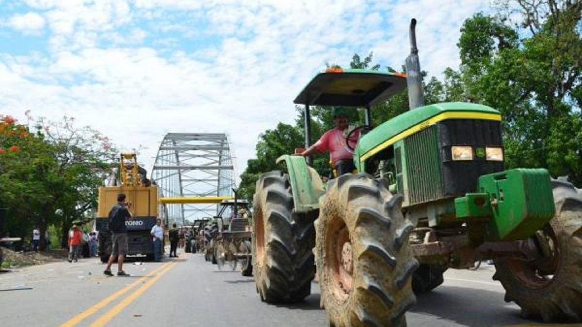 Arroceros del Tolima no irán a paro