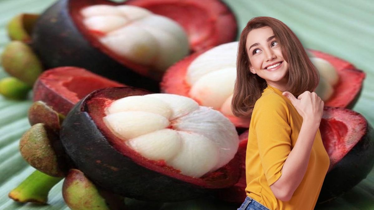 Mariquita se consolida como Capital Frutera con sello al mangostino