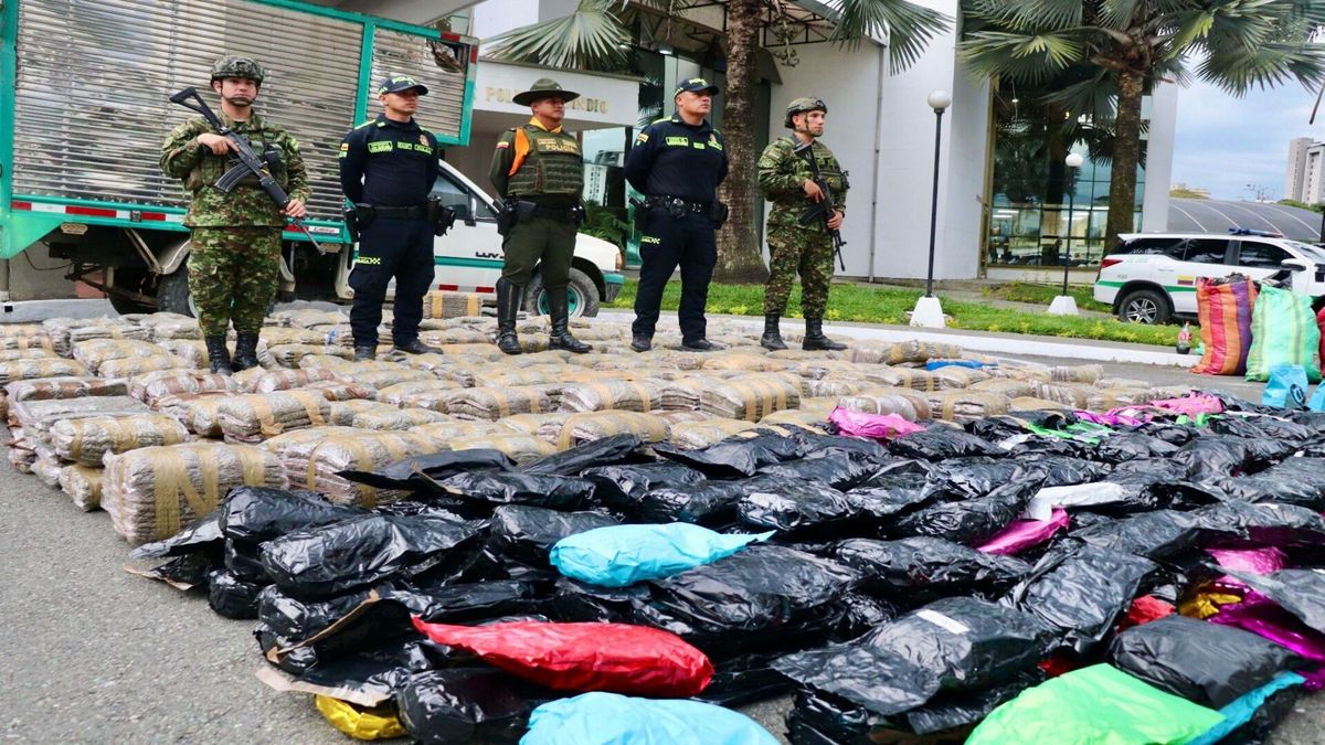 Incautación de marihuana en la vía Salento - Ibagué