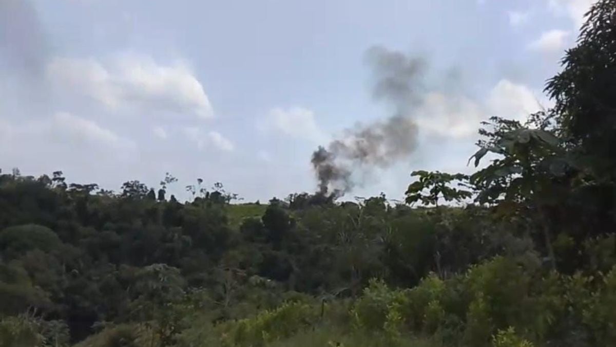 Erradicación de cultivos ilícitos en el Catatumbo