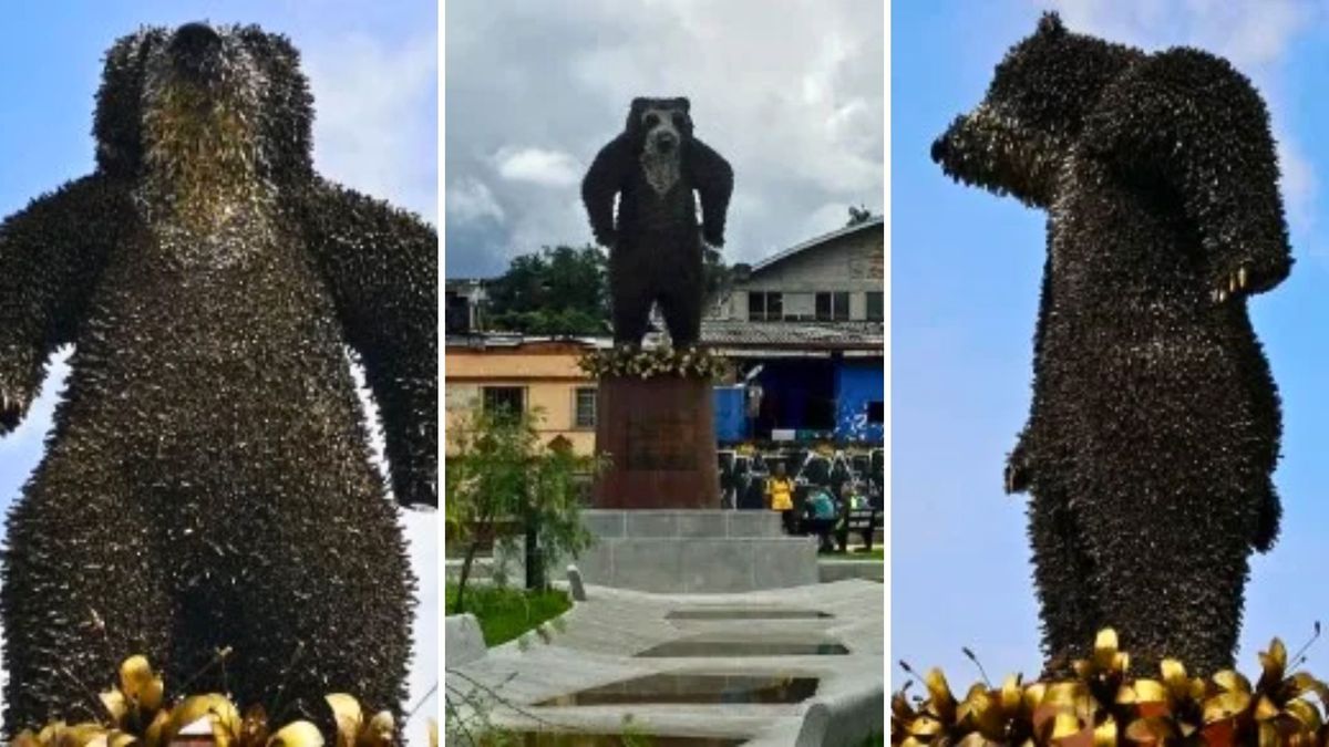 Parque en Pereira guarda un oso gigante hecho con balas: historia sorprende