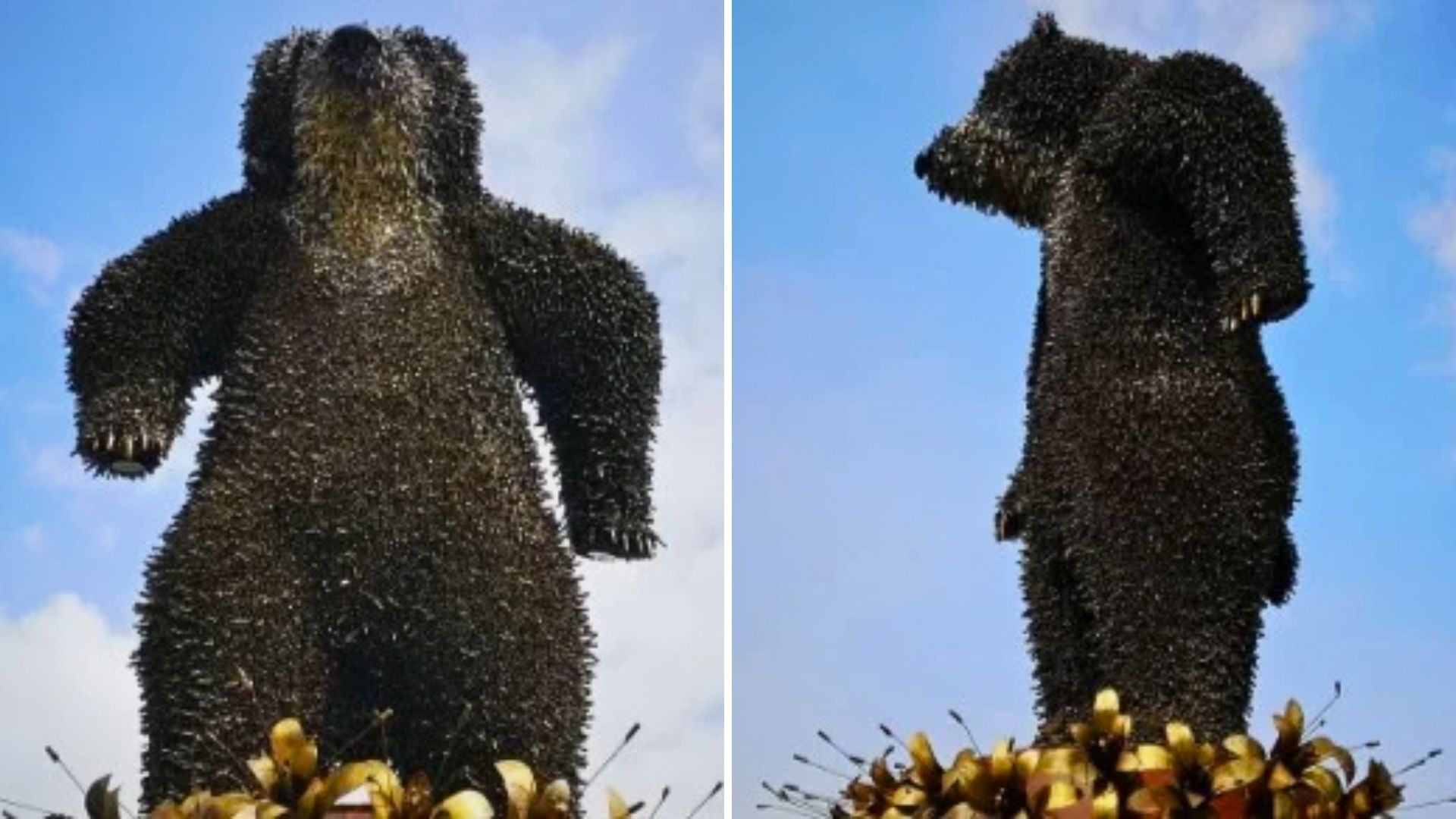 Oso enorme hecho con cartuchos de fusil se roba las miradas en Pereira