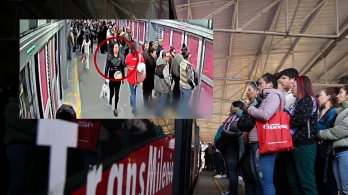 ¡Se le cayó la señal a la “camaleona”! Así pillaron a ladrones en TransMilenio