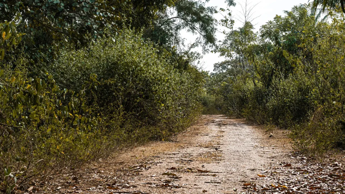 La Gobernación de Antioquia confirmó que la masacre en Vegachí ya deja siete víctimas