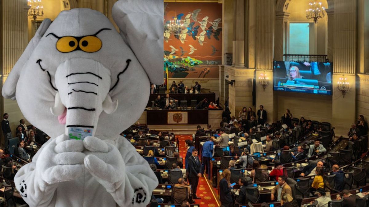 Hasta que les dé miedo robar El Elefante Blanco triunfa en las urnas