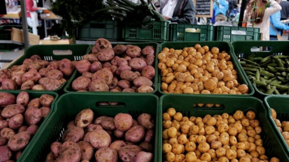 Precios en Corabastos este 10 de marzo, 2026 alimentos que más bajaron HOY