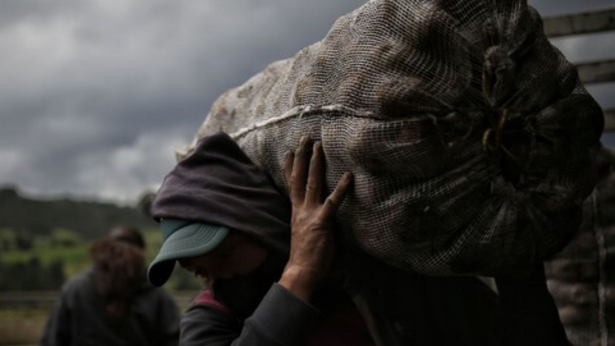 Precios en Corabastos este 11 de marzo de 2026 alimentos que más bajaron HOY