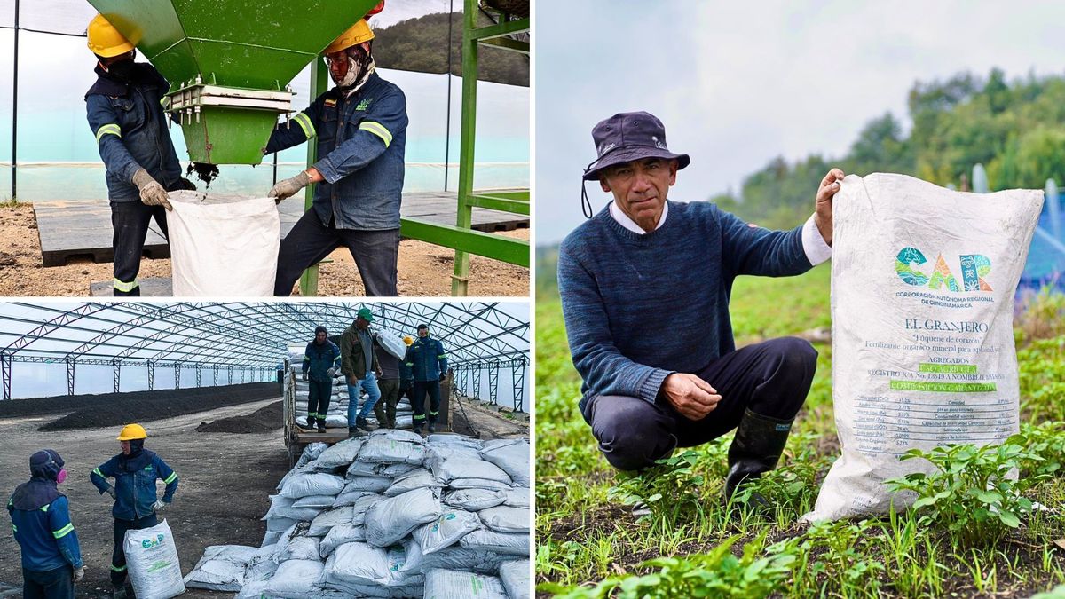 Campesinos de Chiquinquirá, Sutatausa y Fúquene reciben fertilizante