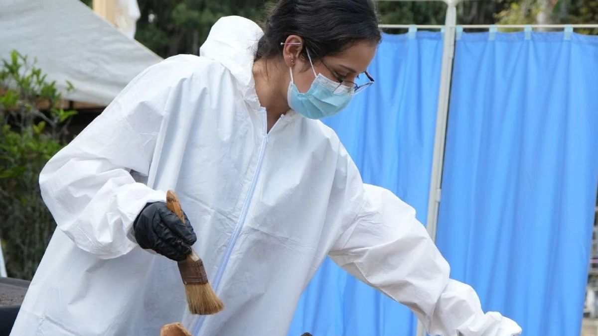 La estrategia forense en el Valle de Aburrá; que incluye los cementerios de Medellín, Barbosa, Caldas y Copacabana, arroja un balance de 80 cuerpos recuperados.