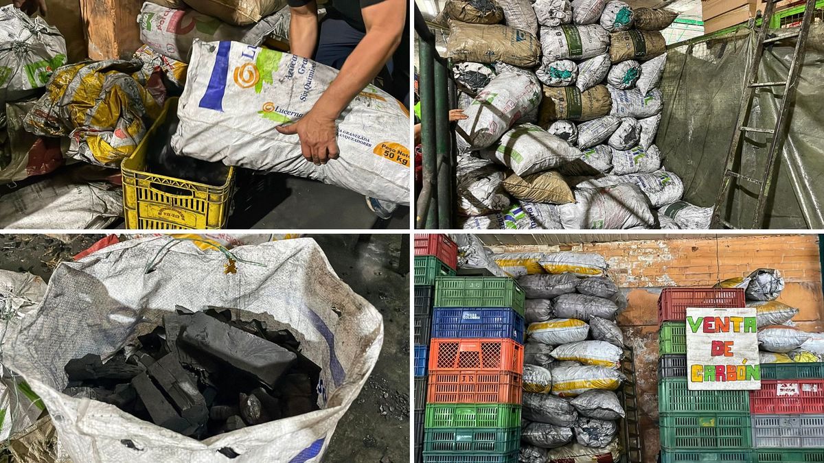 Golpe al carbón en plaza del Sumapaz: CAR llegó y decomisó 274 bultos