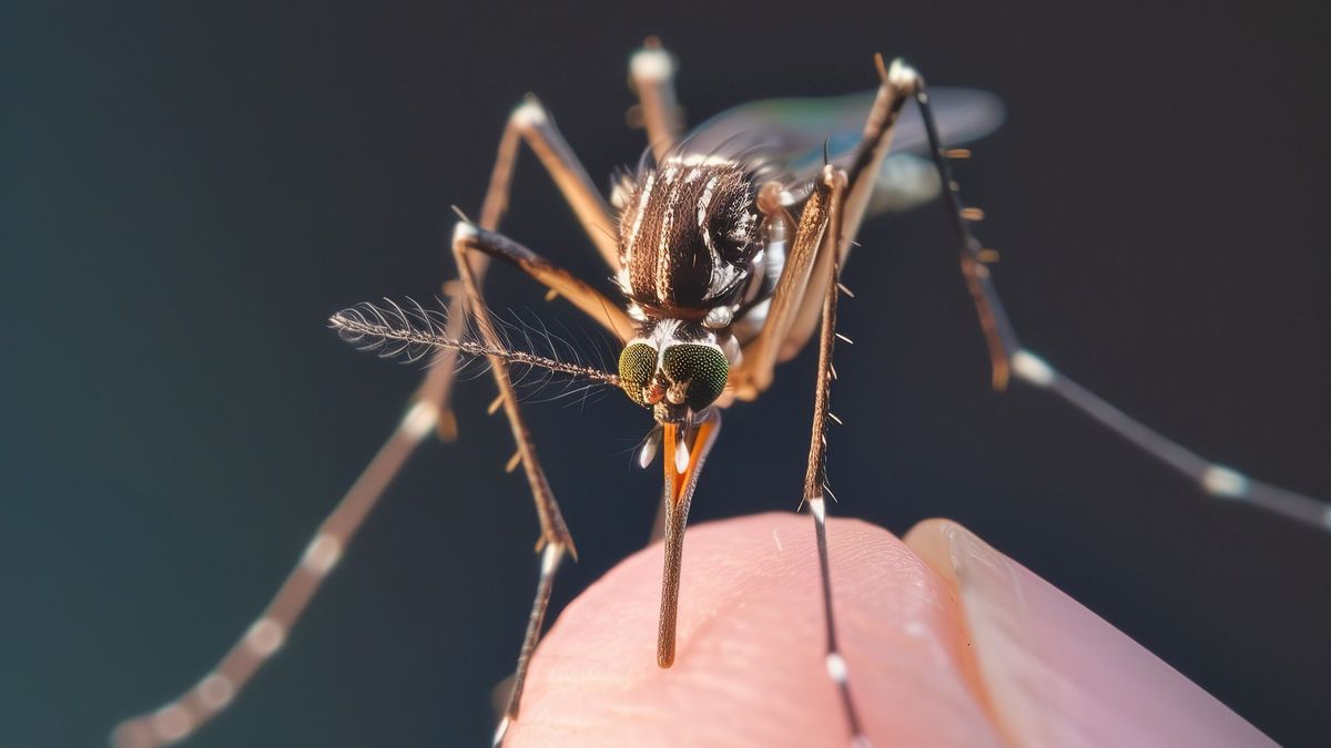 Malaria en Ataco, Tolima