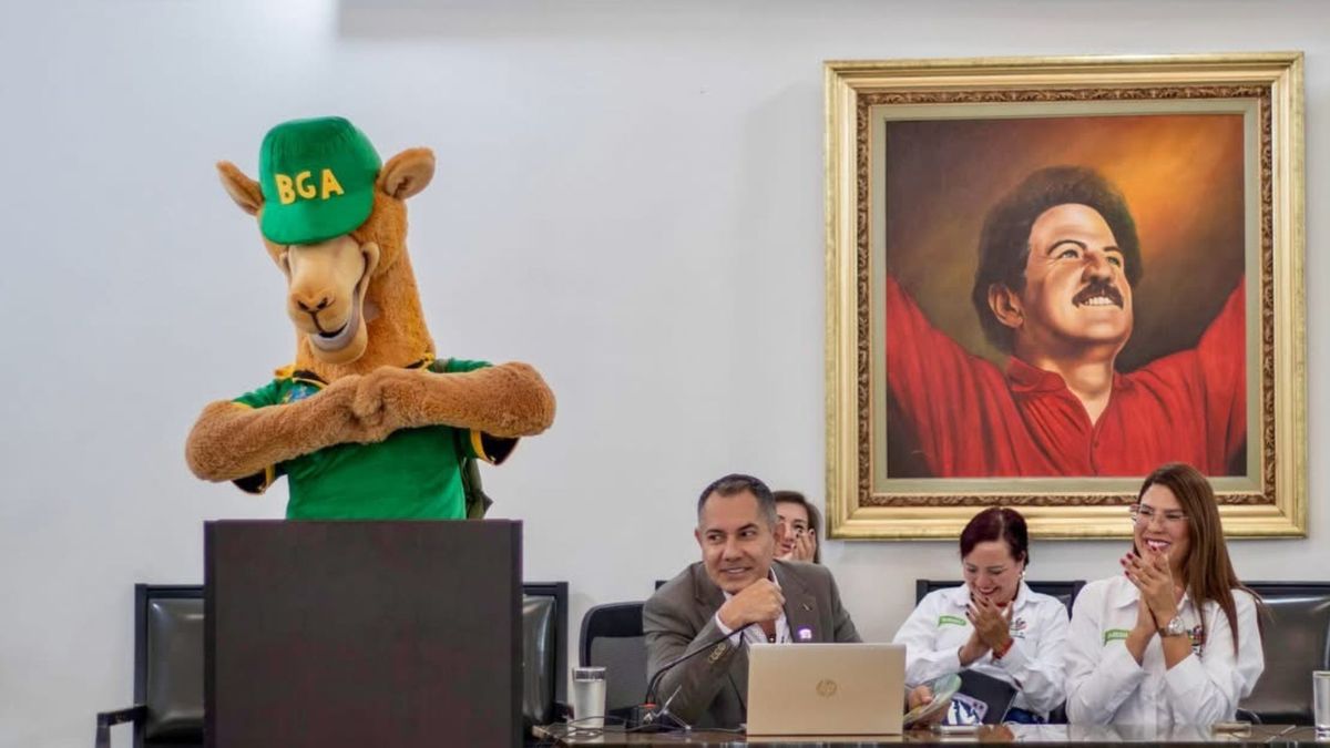 Camello si hay en Bucaramanga